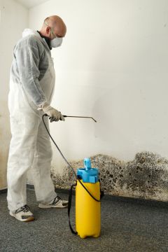 Katy Mold Removal Prices by Trinity Builders & Remodelers