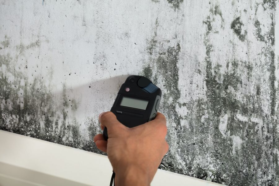 Mold Testing by Trinity Builders & Remodelers