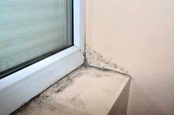 Mold removal by Trinity Builders & Remodelers